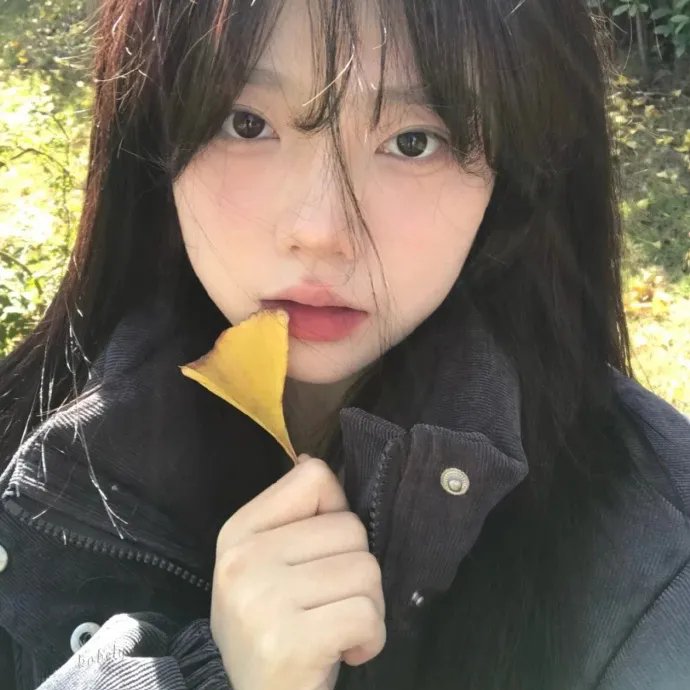 狂热迪士哥